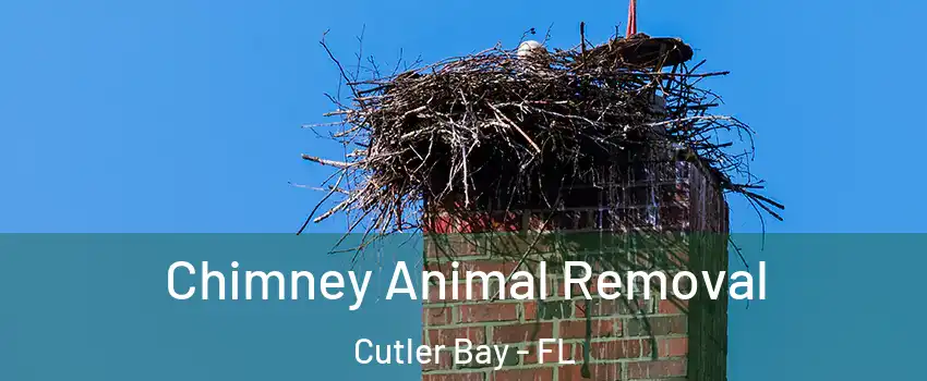 Chimney Animal Removal Cutler Bay - FL