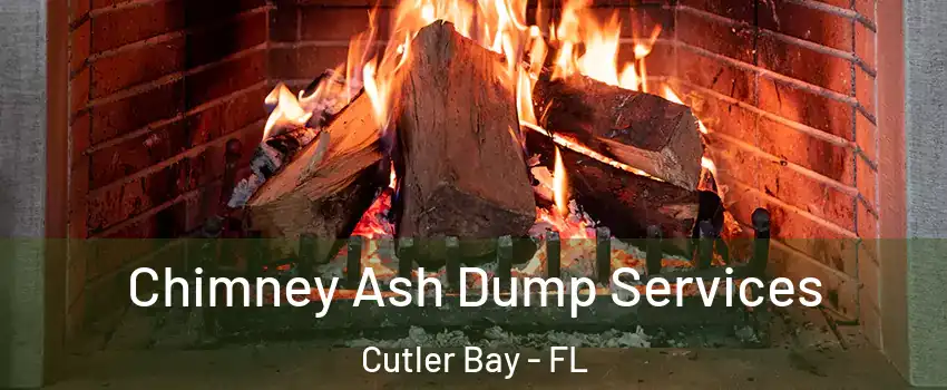  Chimney Ash Dump Services Cutler Bay - FL