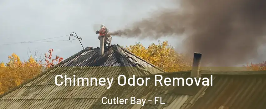  Chimney Odor Removal Cutler Bay - FL
