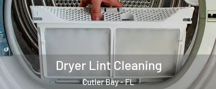  Dryer Lint Cleaning Cutler Bay - FL