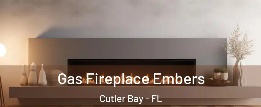  Gas Fireplace Embers Cutler Bay - FL