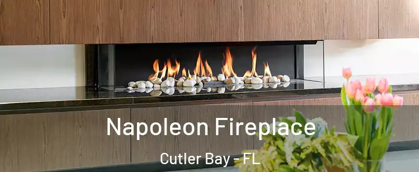  Napoleon Fireplace Cutler Bay - FL