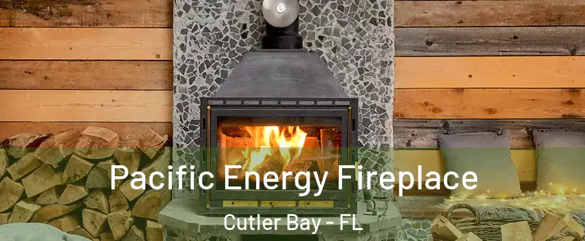  Pacific Energy Fireplace Cutler Bay - FL